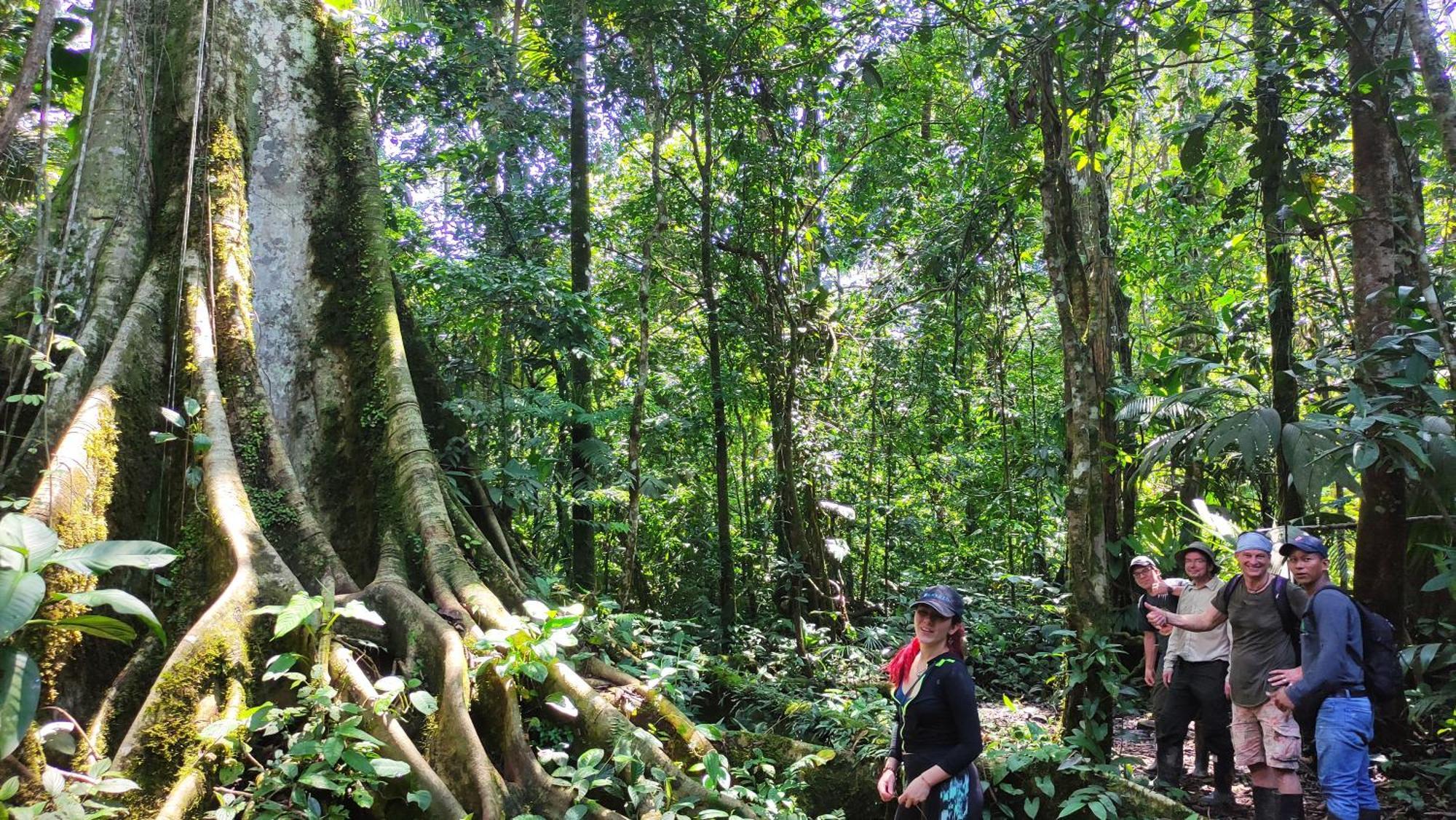 Gaia Amazon Eco Lodge Ahuano المظهر الخارجي الصورة