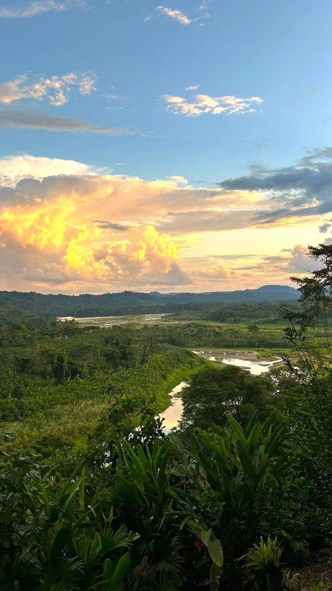 Gaia Amazon Eco Lodge Ahuano المظهر الخارجي الصورة