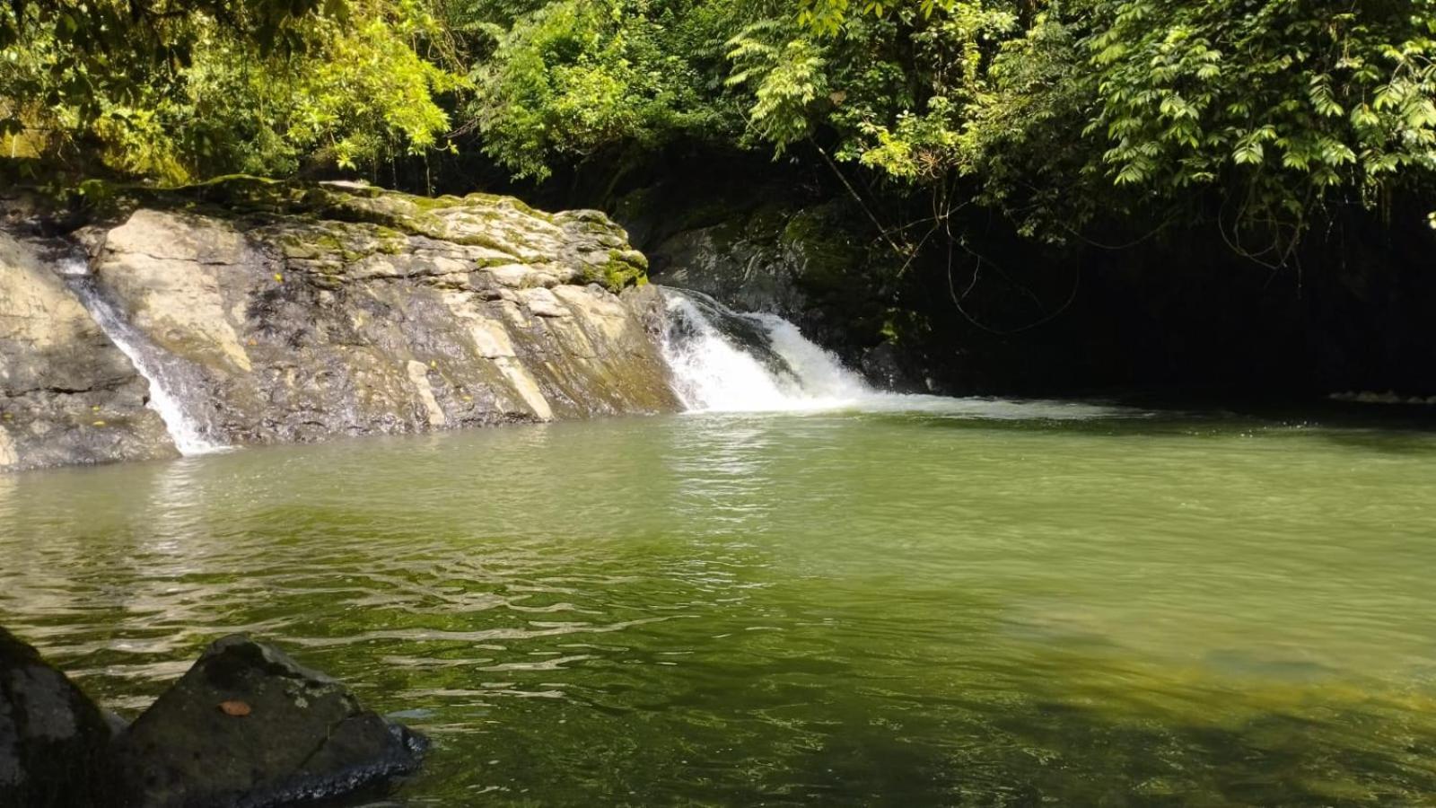 Gaia Amazon Eco Lodge Ahuano المظهر الخارجي الصورة